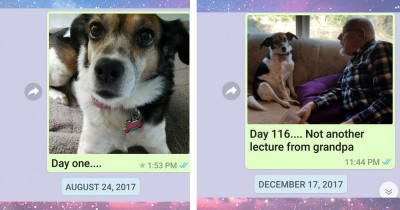 This Mother Sends Daily Pictures of Her Dog to Her Son Who Is Away at School