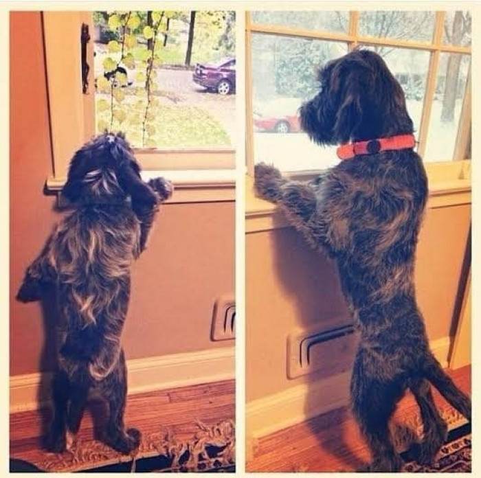 Hey guys! I can see now!