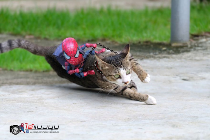 17. Onward, Majestic Beast.