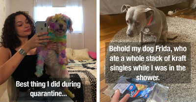Important Dogs You Definitely Want To See