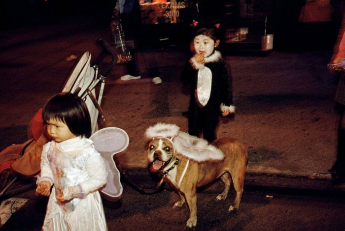10. Brooklyn, New York, 2006