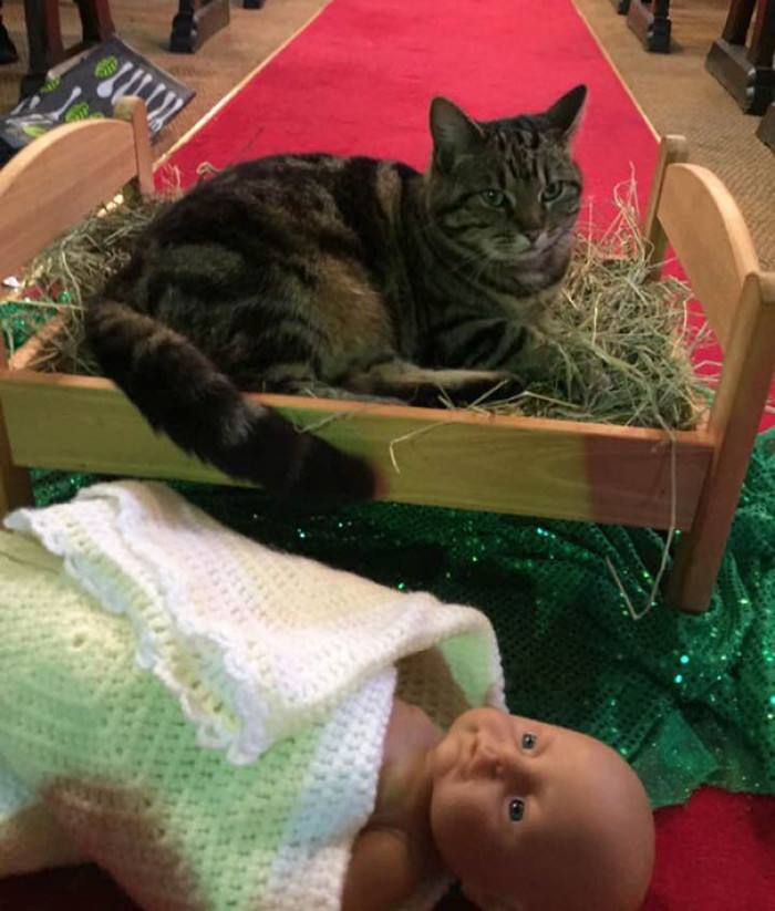 30. "At My Friend's Church, The Church Cat Has Evicted The Baby Jesus From The Manger"