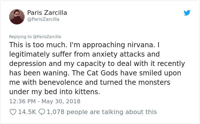 14. Thank the cat gods! These babies are just what he needed!