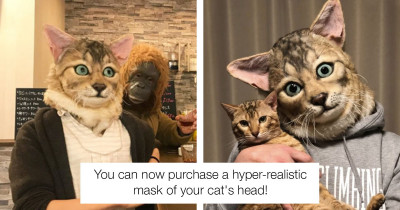 Good News For Those Of Us Who Have Long Wanted To Look Like Our Cats Because Now We Can