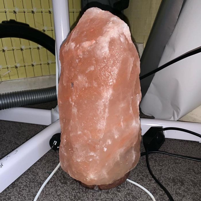 Every cat owner should be aware of how dangerous Himalayan salt lamps are to cats. Vets have been warning people ever since one woman's cat almost passed.