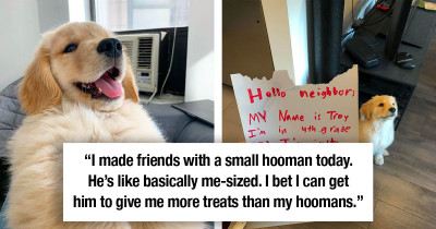 Dog Loving 10-Year-Old Boy Writes The Sweetest Letter Offering To Become His Neighbors' Dog Sitter