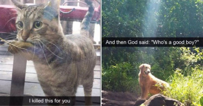 These 15+ Snapchats Of Animals Are Proof We Don't Deserve Animals