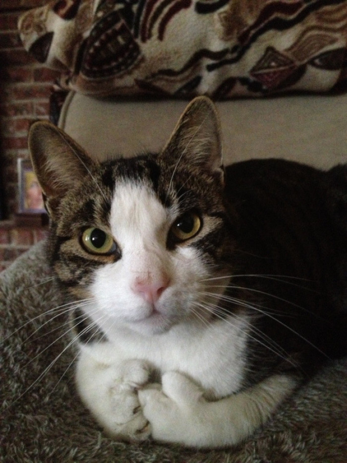 'What are you looking at?'