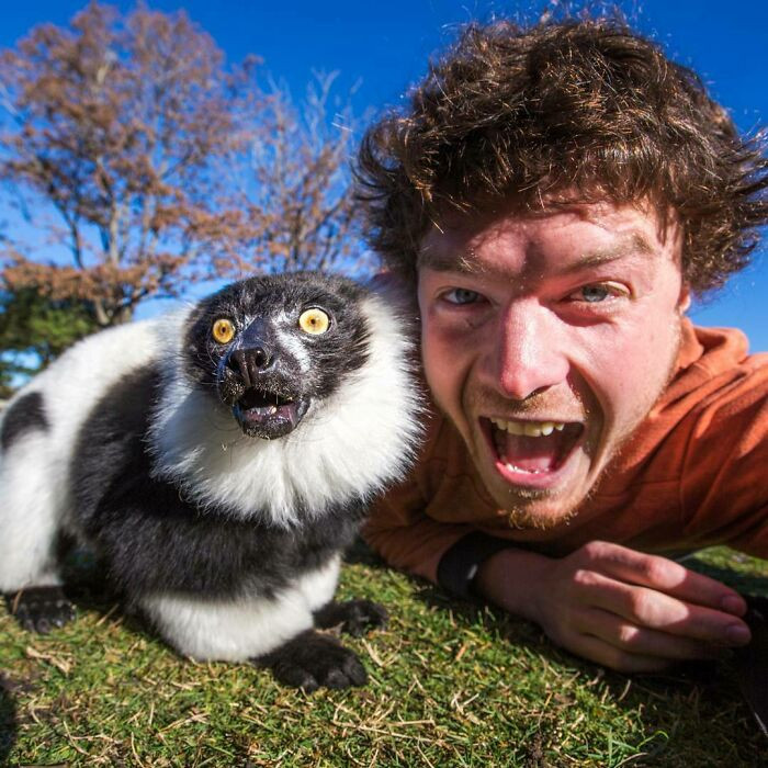 This Lemur seems to have gotten some pretty shocking news