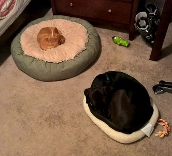 6. They fit; in the end, it's all that matters.