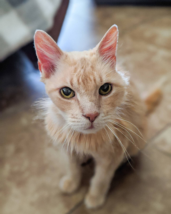 The future looks bright for Valentino.