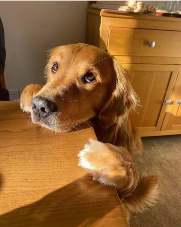 17. "Can I have a sip of your coffee?"