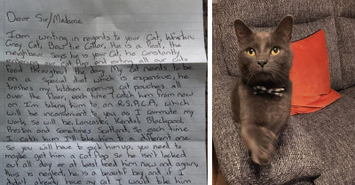 Anonymous Passive-Aggressive Letter Threatens To Kidnap This Guy's Cat For Being 'A Pest'