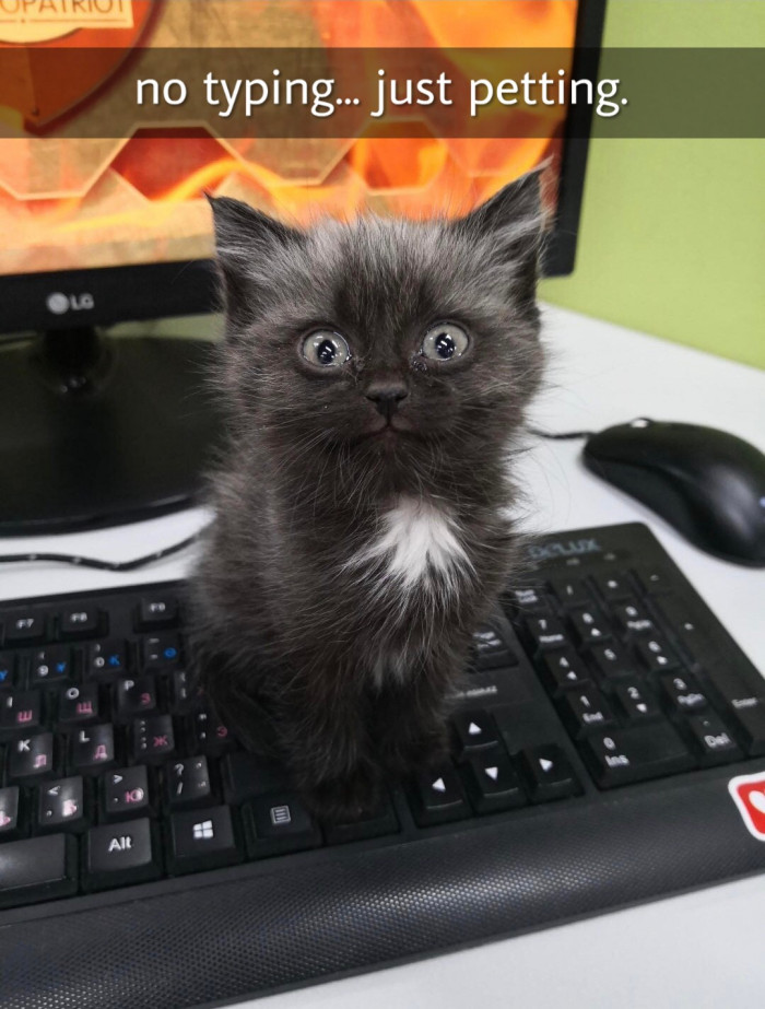 Yes, ma'am! Anything for you, baby.