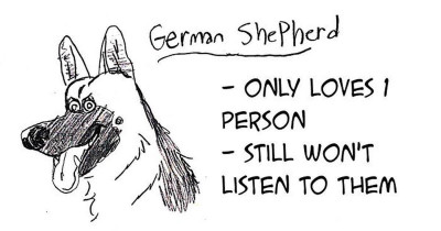 If You're Having a Hard Time Choosing Your Next Dog, This Hilarious Dog Breed Guide Will Come in Handy