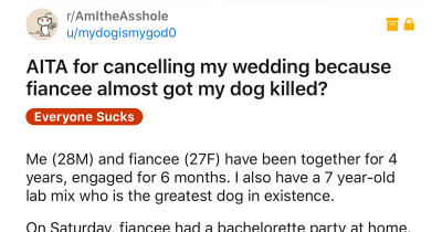 Dog's Near-Death Experience Leads His Human to Call Off His Wedding Entirely