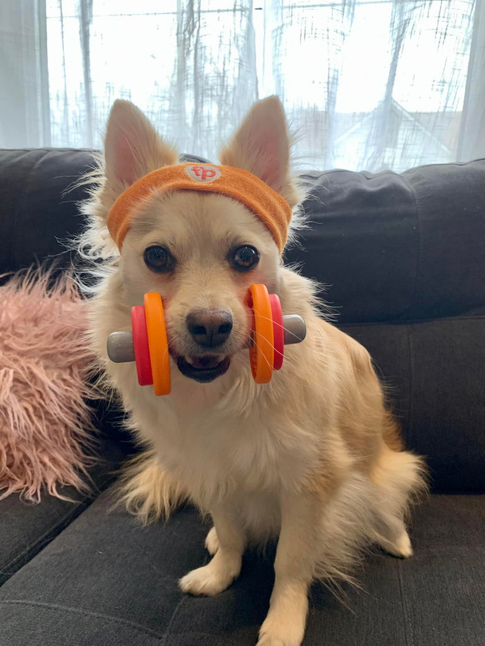 10. Dog sends a friendly reminder to fellow dogs to stay fit