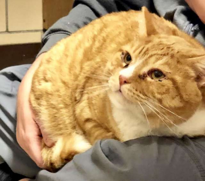 Close-up of Jacque’s face, tender expression suggesting comfort and safety