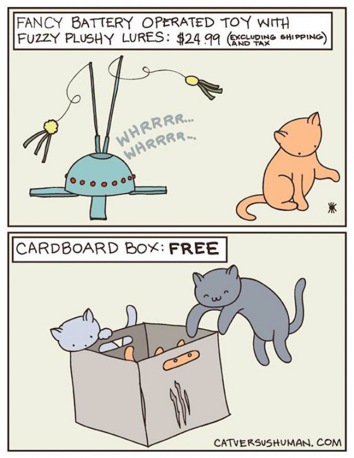 Can Someone Tell Me What's the Deal with the Boxes?