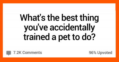 13 People Share The Best Things They've Managed To Teach Their Pets To Do By Accident