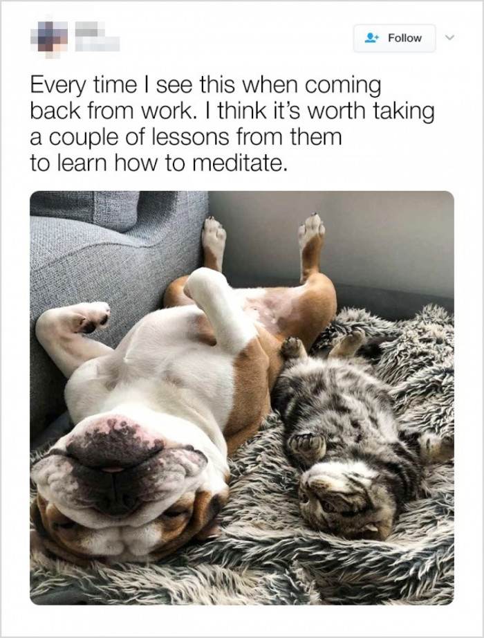 They even teach us how to meditate