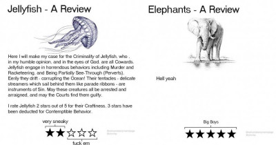 This Person Writes Hilarious Animal Reviews And Says Dogs Only Get 4 Out Of 5 Stars