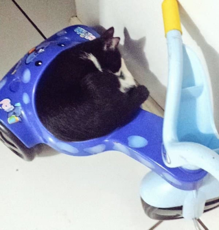 2. No vehicle is safe.