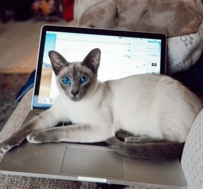 20. Bluebell, you are not helping....