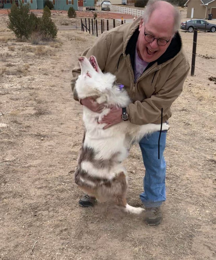 Renion between a deafblind dog and the owner's dad.