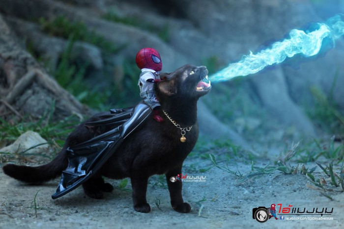 9. Toothless? Toothless.