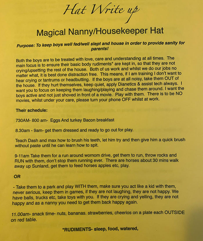 Woman Shares The Requirements For A Nanny Job She