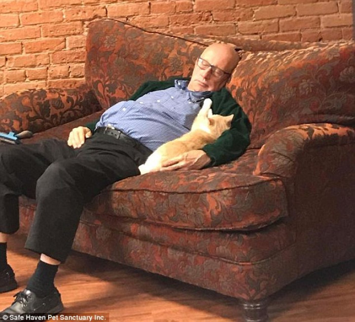 2. But wait, there's more!