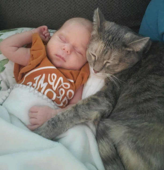 17. “Aww... Is there anything sweeter than this?”