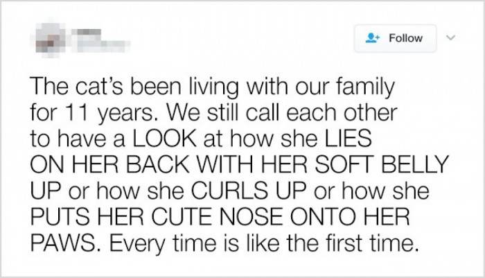 The cuteness overload never goes away