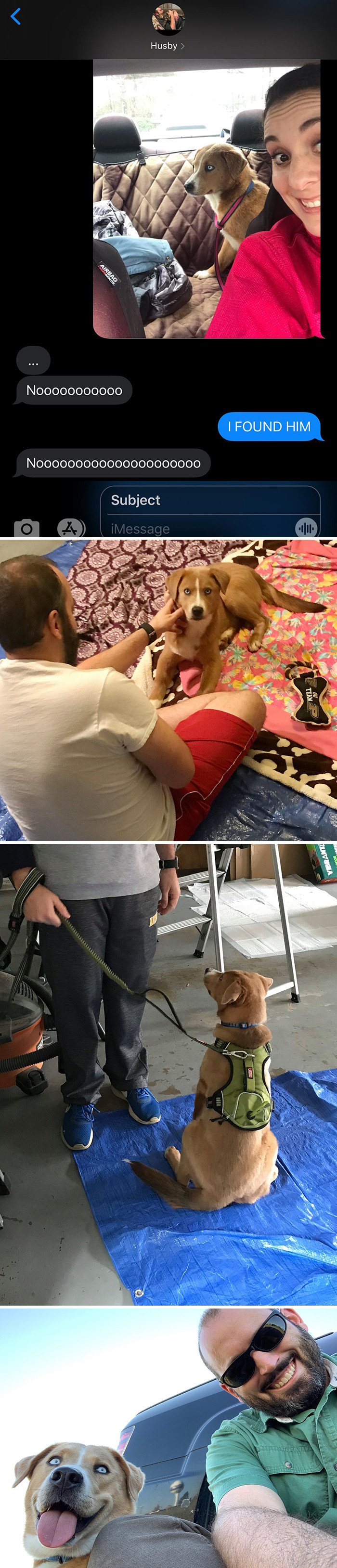 "Picture 1: My initial text to my husband. Picture 2: My husband meeting the found puppy..."