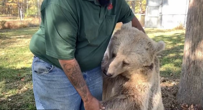 They've formed a strong bond. Sonya lives permanently in the wildlife center, as she is unable to be released into the wild. Jonathan came to visit her after many years.