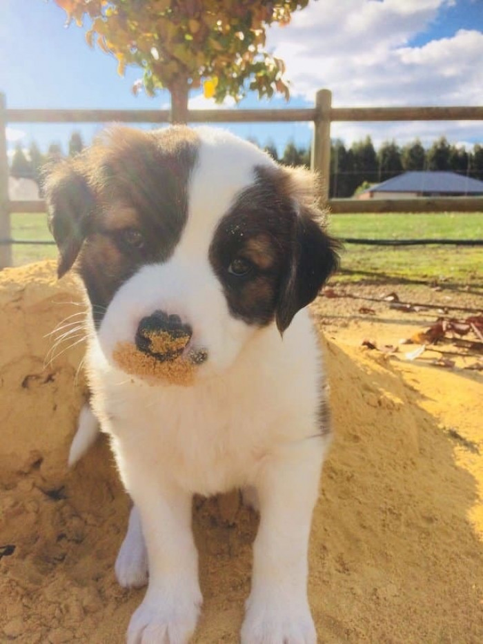 If you haven't already, I'm sure you are smiling now at this cute little boy.