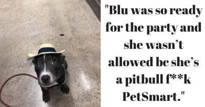 Pitbull Was Banned From Going To PetSmart's Dog Party Because They Believe "Pitbulls Are Bully Breeds"