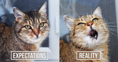 Expectations Vs. Reality: How You Wish Your Photos Would Look Versus How They Turn Out