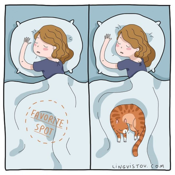 15. It's how they cuddle with us