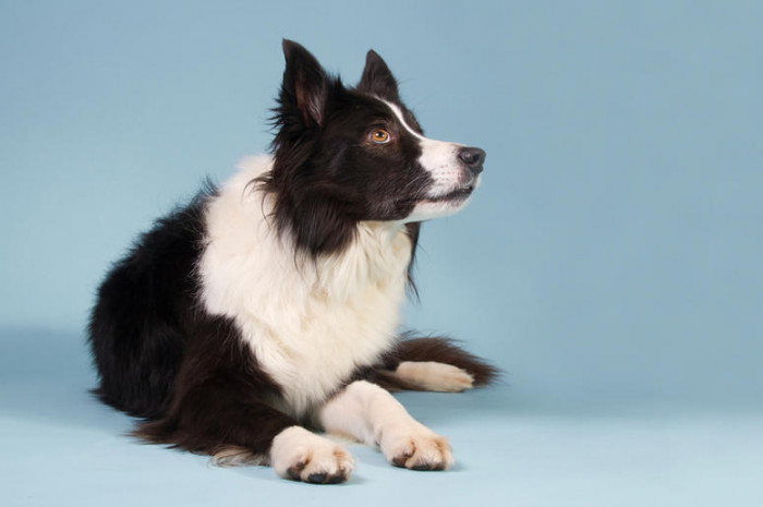 Kirk, Purino Pro Challenge champion, celebrating with joyful jump after winning