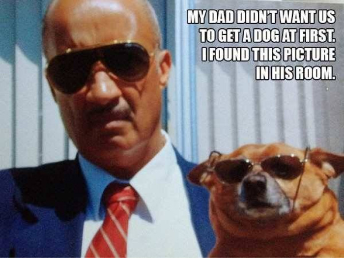 12 Dads Who Initially Hated Dogs But Ended Up Changing Their Minds