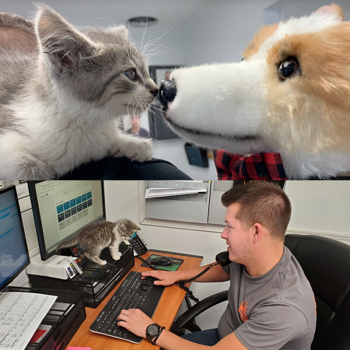 Avis loves greeting the customers.