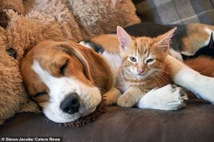 We think these three will be besties forever!