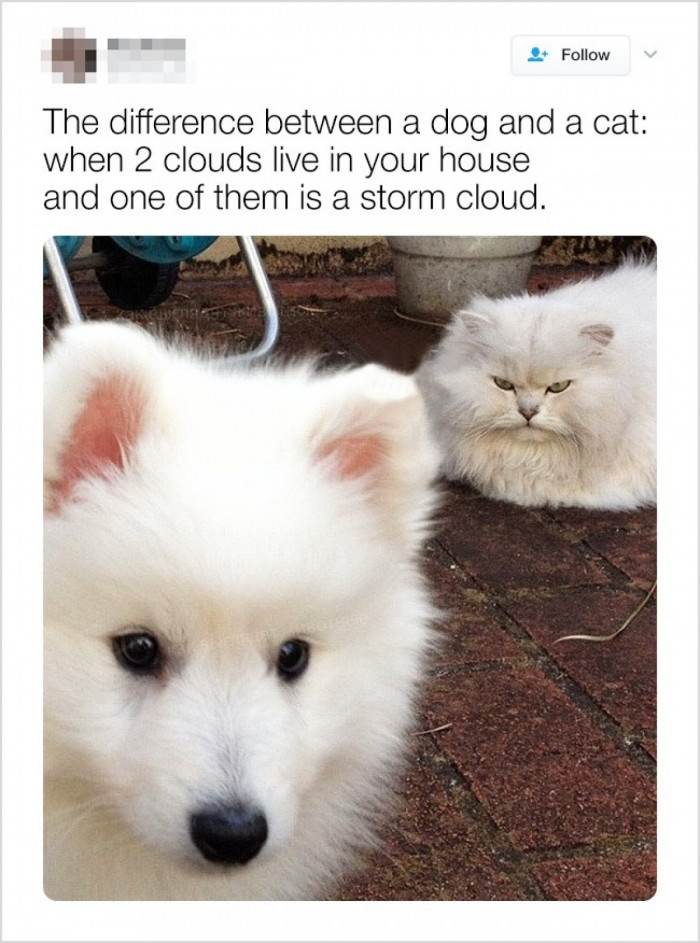 Happy cloud and a storm cloud