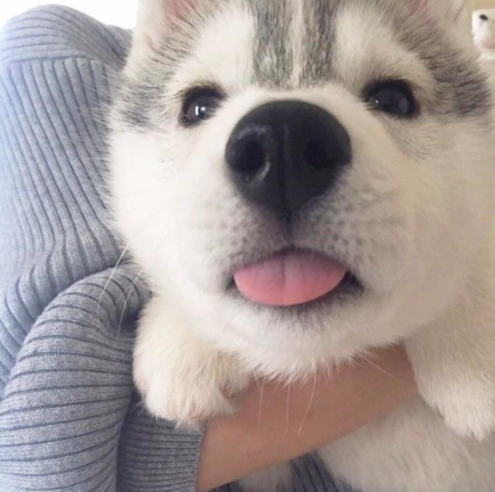 18. "Be ready to get the best kiss of your life..."