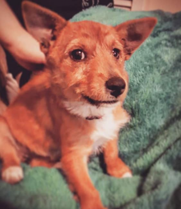 9. I'll take 12, please!