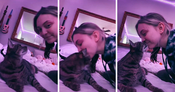 This cat was INTO it