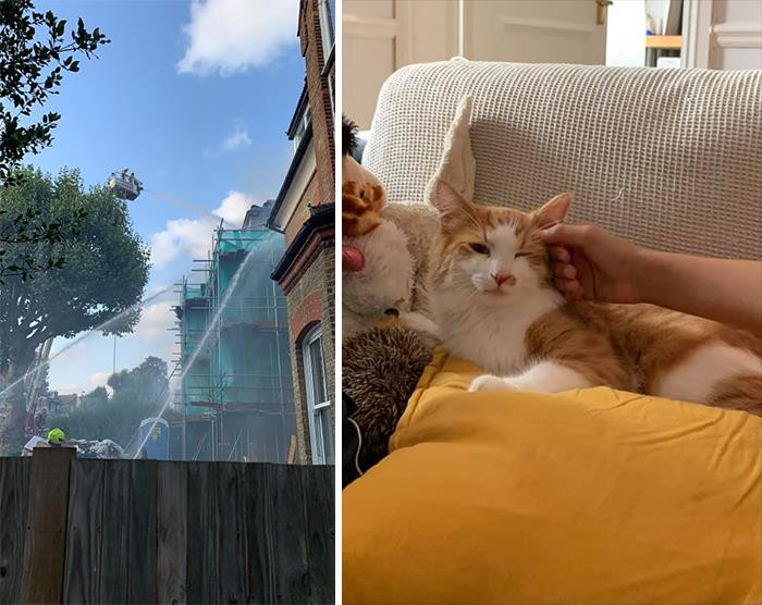 "The Neighbour’s House Caught Fire And A 10-Year-Old Boy Came Out Of The House Carrying His Cat, Yoda. So We Welcomed Him And His Mother Into Our House. Yoda Took Over The Flat And Is An Absolute Sweetheart."