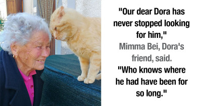Cat Who Had Been Gone for Years Has a Heartwarming Reunion with Her Human